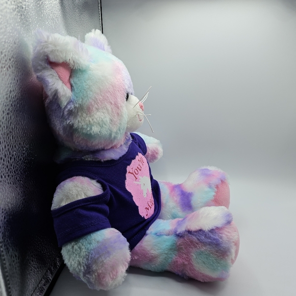 Build A Bear Plush Pastel Swirl Tie Dye Kitty Cat Pink Purple 16" with shirt - Picture 3 of 6